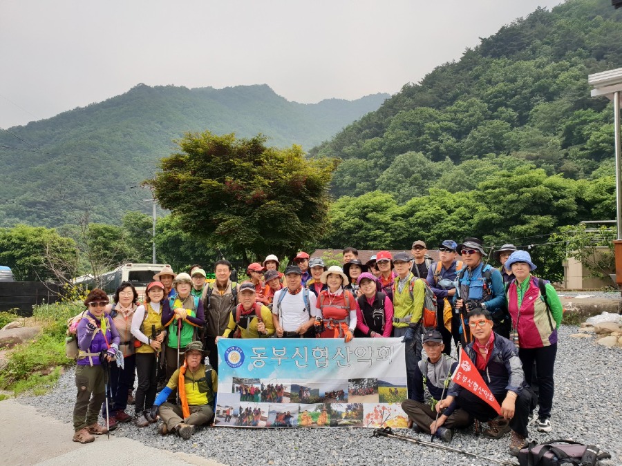 h_b9aUd018svcob8rjrioynh1_ttz99e.jpg
