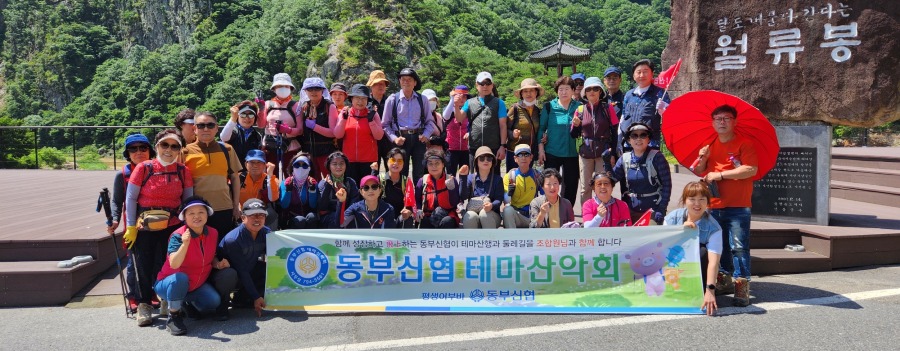 제154차 테마산악회정기산행(월류봉).jpg